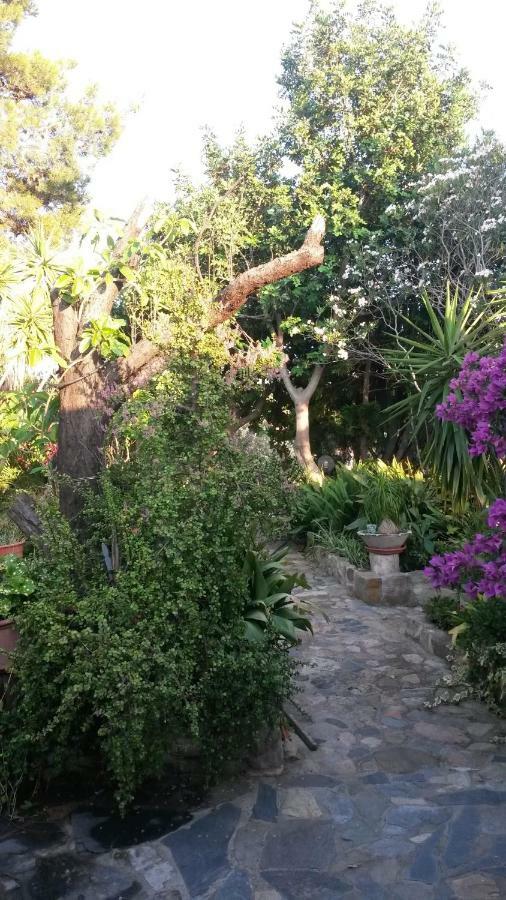 Agriturismo Camboni Villa Annunziata  Dış mekan fotoğraf